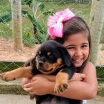 Rottweiler em Guarani